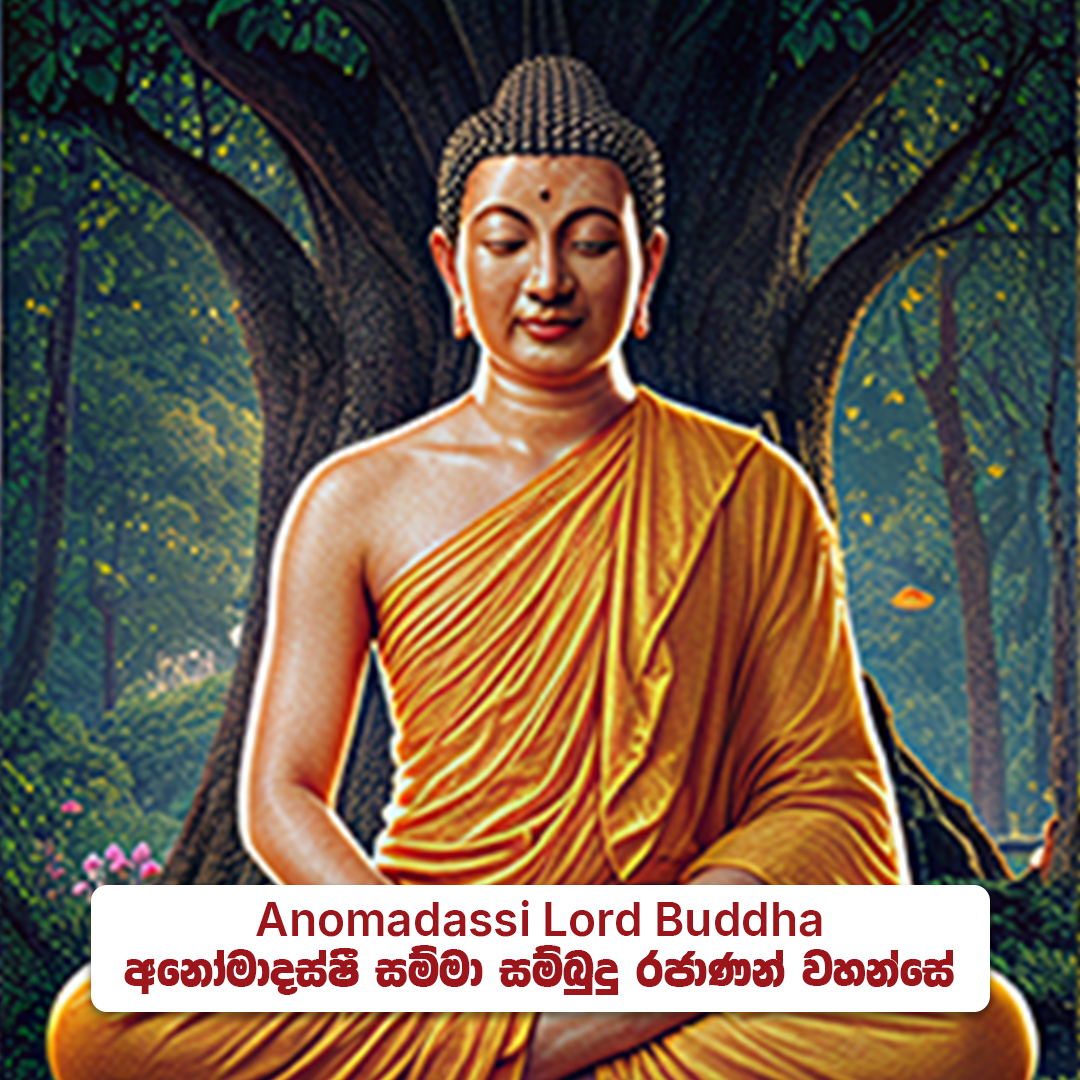 ⁠Anomadassi Lord Buddha - අනෝමදස්සී සම්මා  සම්බුදු රජාණන් වහන්සේ