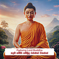 ⁠Paduma Lord Buddha - පදුම සම්මා  සම්බුදු රජාණන් වහන්සේ