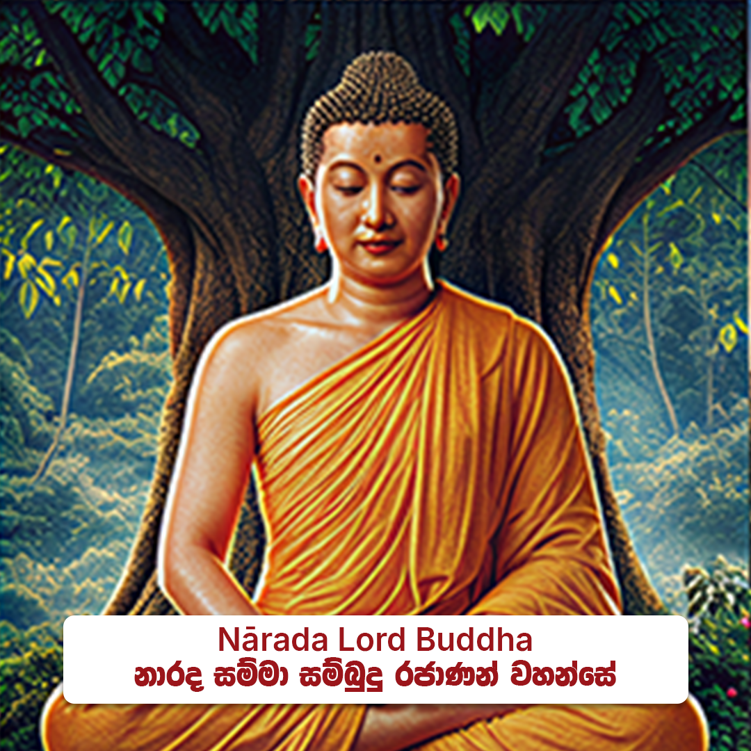 ⁠Nārada Lord Buddha - නාරද සම්මා  සම්බුදු රජාණන් වහන්සේ