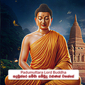 Padumuttara Lord Buddha - පදුමුත්තර සම්මා  සම්බුදු රජාණන් වහන්සේ