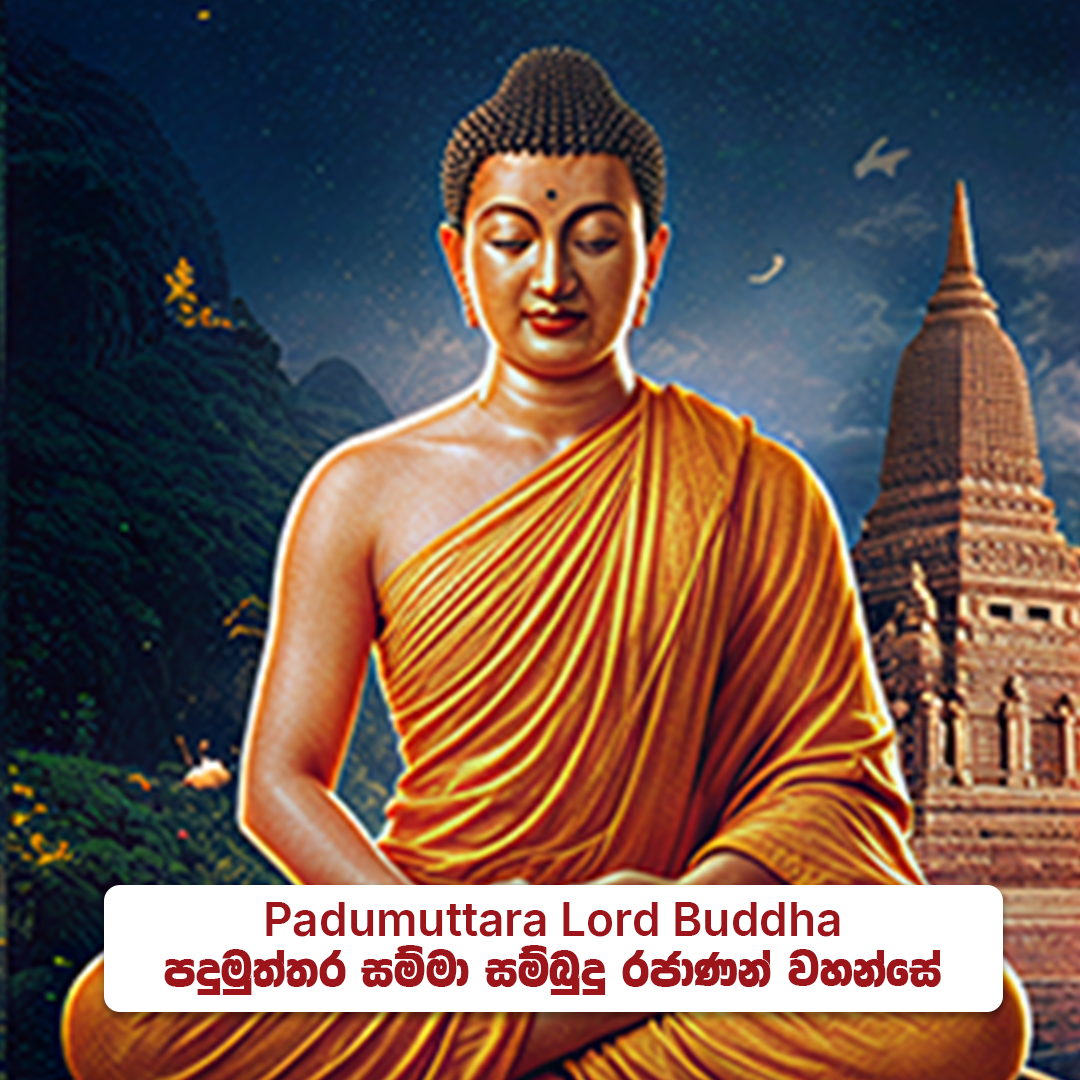 Padumuttara Lord Buddha - පදුමුත්තර සම්මා  සම්බුදු රජාණන් වහන්සේ