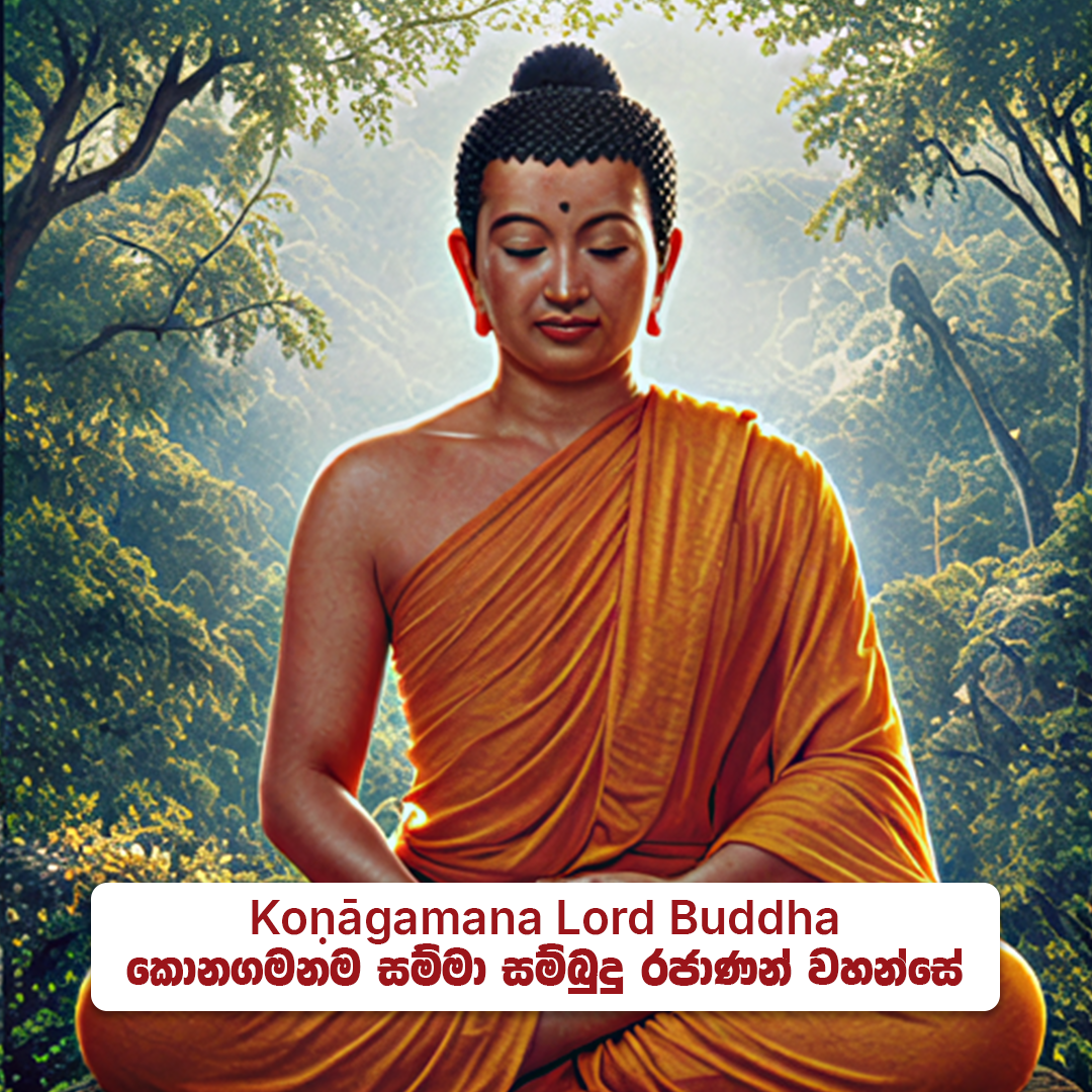 Koṇāgamana Lord Buddha - කොනගමන සම්මා  සම්බුදු රජාණන් වහන්සේ
