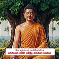 ⁠Saraṇkara Lord Buddha - සරණංකර සම්මා  සම්බුදු රජාණන් වහන්සේ