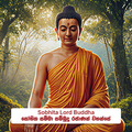 Sobhita Lord Buddha  - සෝභිත සම්මා  සම්බුදු රජාණන් වහන්සේ